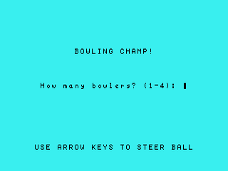 Bowling Champ opening screen